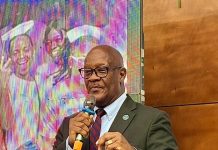 Dr. Austin Demby Outlines Ambitious Vision for Sierra Leone’s Healthcare System