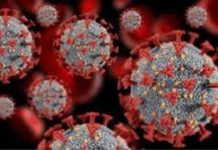 Ebola’s Re-emergence Signals Economic Danger for Fragile African Economies