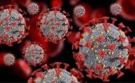 EBOLA